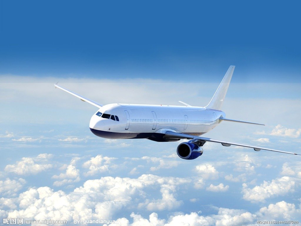 International Flight